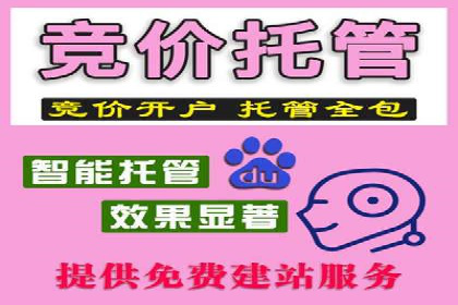 SEM托管服务案例：实现精准营销与客户转化